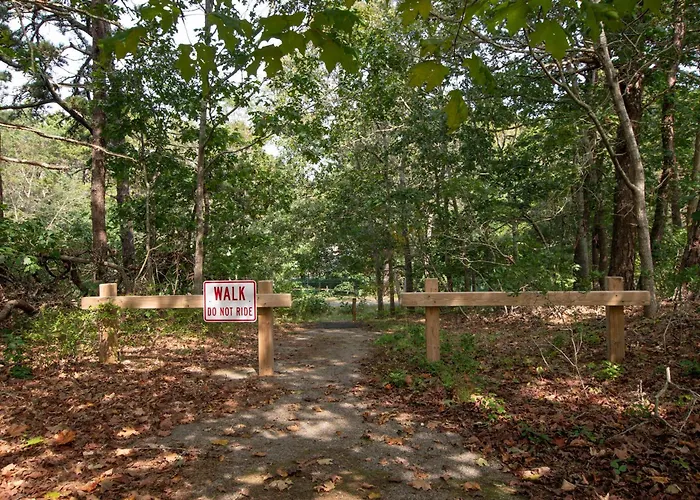 Dogs Welcome Huge Yard Right Next To Rail Trail
